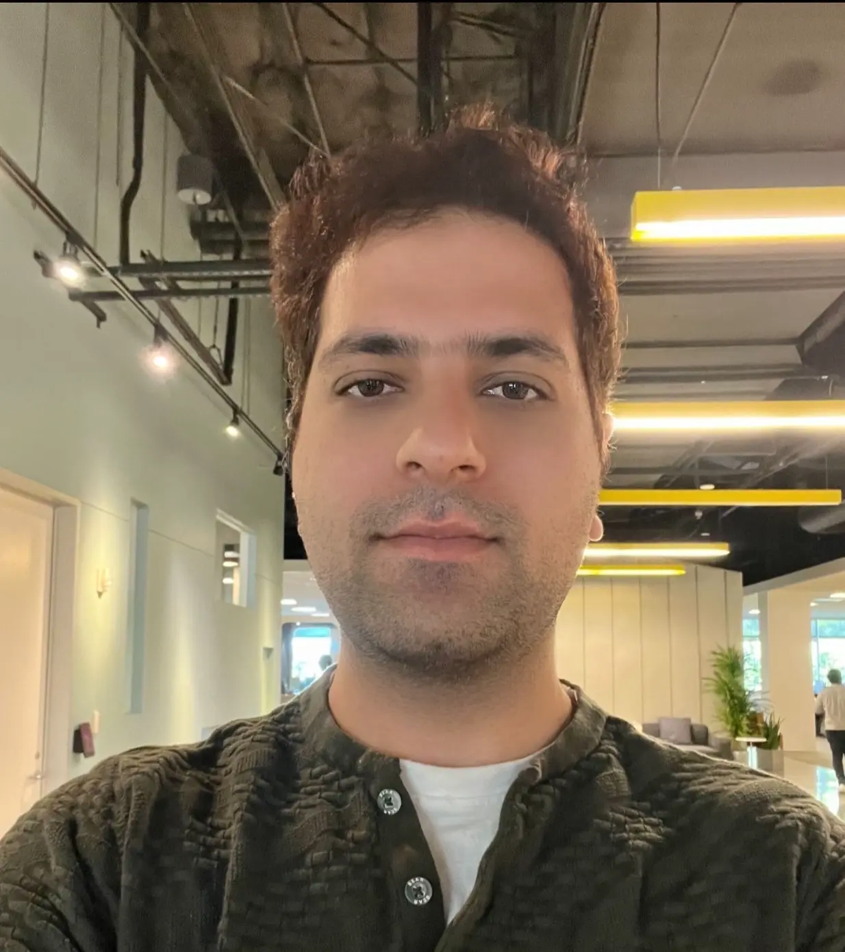 Rameen Abdal